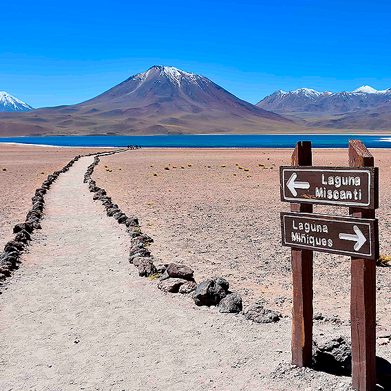Galería 7