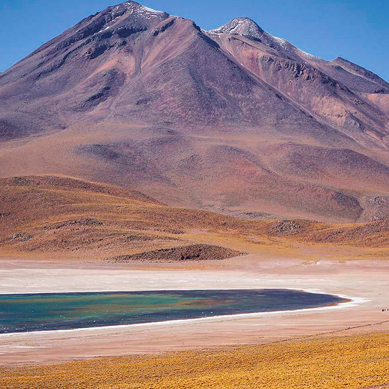 Galería 8